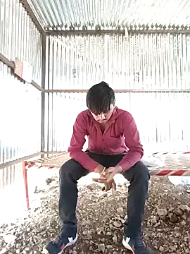 Kartik bbc indian online show from 12-13-24, 09:57