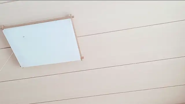 xxArisaxx online show from 03-01-26, 05:42