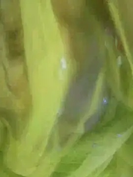 Snapshot of joya_bhabi chatting on 11-03-25, 02:29 joya bhabi online show from 11-03-25, 02:29