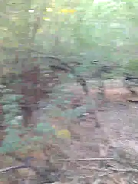 Snapshot of Ajith_mvi chatting on 03-29-26, 02:44 Ajith mvi online show from 03-29-26, 02:44