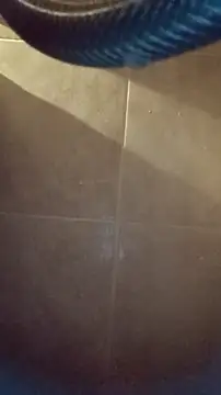 whitetrashdirtyslut online show from 12-04-25, 03:16