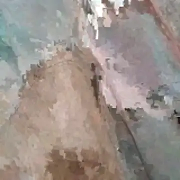 Snapshot of jockey2051992 chatting on 03-07-26, 03:25 jockey2051992 online show from 03-07-26, 03:25