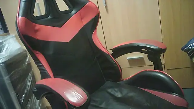 Javier bear online show from 10-17-25, 08:06