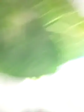 Snapshot of Wanda_and_cosmo_ chatting on 03-07-25, 08:55 Wanda and cosmo online show from 03-07-25, 08:55