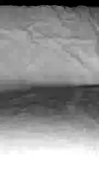 Snapshot of BigAssKi chatting on 02-03-25, 03:06 BigAssKi online show from 02-03-25, 03:06