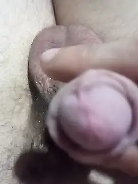 El22 1431 online show from 12-22-24, 04:06