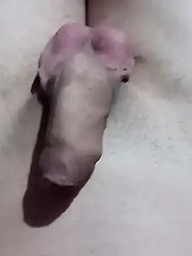 El22 1431 online show from 01-17-25, 04:39