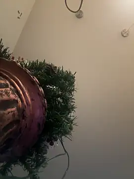 Snapshot of Sexy_Little_SlutAriel chatting on 12-17-24, 08:54 Sexy Little SlutAriel online show from 12-17-24, 08:54