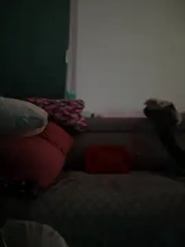 Snapshot of BigBoy420x chatting on 02-28-25, 05:04 BigBoy420x online show from 02-28-25, 05:04