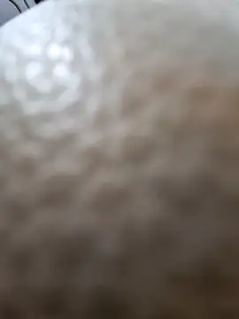 Snapshot of Kamarasa69 chatting on 12-18-25, 08:53 Kamarasa69 online show from 12-18-25, 08:53