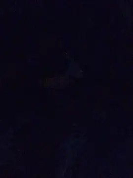 MrDickUdown24 7 online show from 02-23-25, 06:39