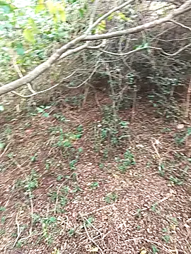 Snapshot of HathodaTyagi123 chatting on 12-08-24, 07:37 HathodaTyagi123 online show from 12-08-24, 07:37