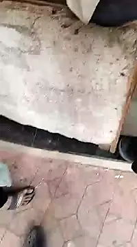 Snapshot of findmemylove chatting on 12-22-24, 07:33 findmemylove online show from 12-22-24, 07:33