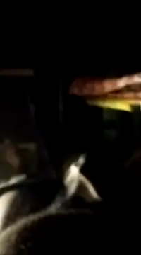 Snapshot of findmemylove chatting on 01-07-25, 07:06 findmemylove online show from 01-07-25, 07:06