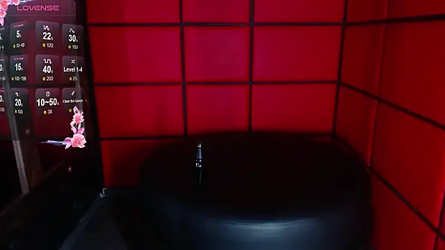 Snapshot of ElianFoxter chatting on 12-30-24, 11:28 ElianFoxter online show from 12-30-24, 11:28