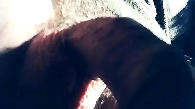 wedge75 online show from 02-08-25, 10:29