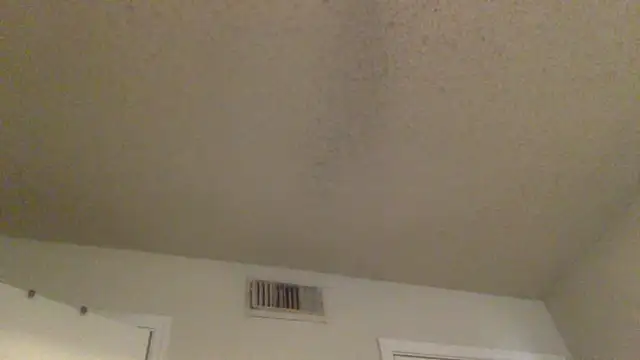 GForceSavage online show from 02-25-26, 06:17