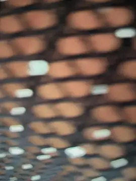 Rose-euphoria online show from 11-05-25, 01:44