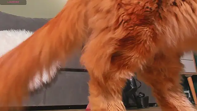 mistresslecter online show from 03-22-26, 03:54