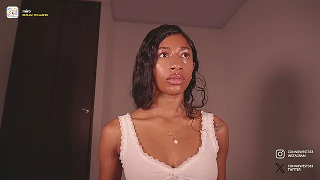 Snapshot of connie_west0 chatting on 01-29-25, 10:32 connie west0 online show from 01-29-25, 10:32