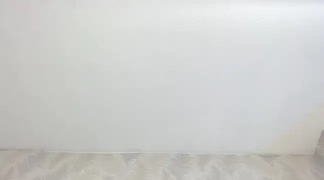 KasandraPhillips online show from 02-13-25, 10:33