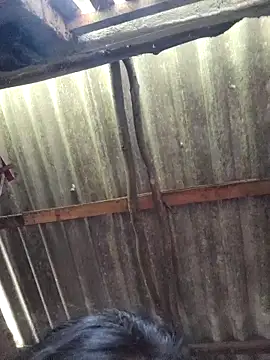 Snapshot of HotSexyBoudi chatting on 09-09-25, 09:31 HotSexyBoudi online show from 09-09-25, 09:31