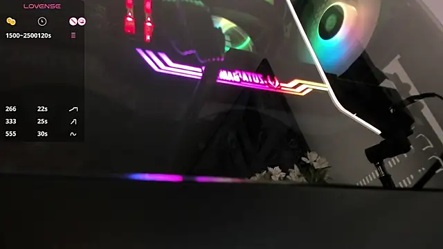 ariana fitl  online show from 12-29-24, 08:11