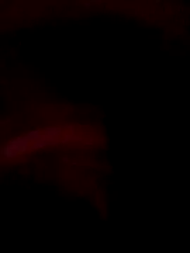 ySqmbVanbe online show from 12-14-25, 09:36