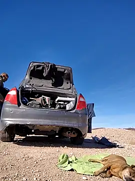 FloppyPickle4u online show from 02-15-25, 09:37