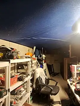 FloppyPickle4u online show from 02-25-25, 05:41