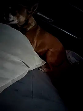 FloppyPickle4u online show from 02-28-25, 04:31