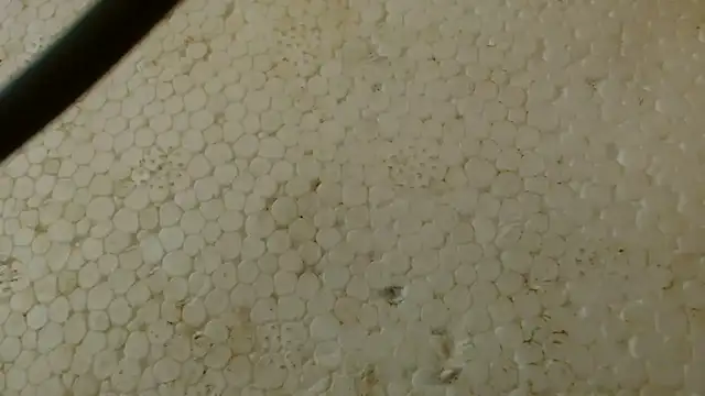 Snapshot of titi_fiesta chatting on 02-01-26, 05:39 titi fiesta online show from 02-01-26, 05:39