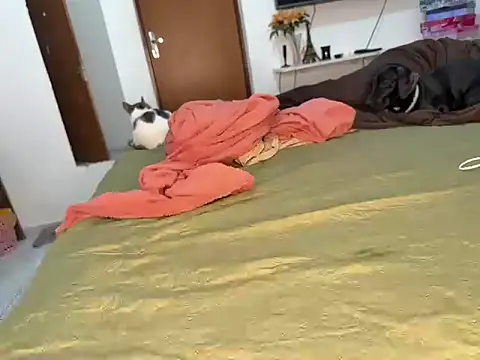 BRUALENC online show from 02-24-26, 09:29