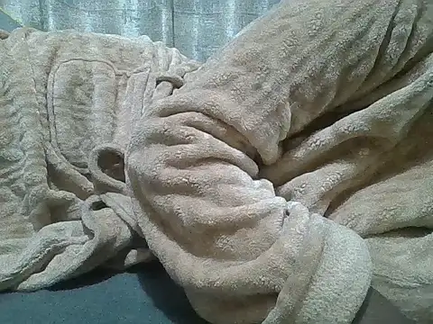 Fine assie online show from 04-10-26, 11:20