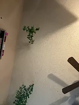 magicalc00ch online show from 03-16-25, 09:37