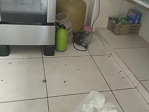 Snapshot of pikalindaxx chatting on 01-15-25, 04:11 pikalindaxx online show from 01-15-25, 04:11