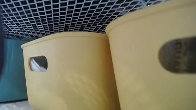 lovense test04 online show from 02-27-26, 07:30