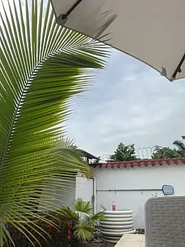 Snapshot of Ema_azel chatting on 02-16-25, 02:00 Ema azel online show from 02-16-25, 02:00