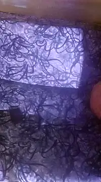 shuhana  online show from 12-16-24, 01:10