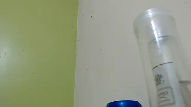 richelybigcock online show from 02-21-25, 02:28