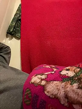 Snapshot of A6229 chatting on 02-26-25, 11:09 A6229 online show from 02-26-25, 11:09