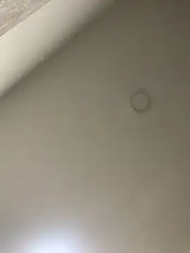 Snapshot of Zarah_Blare chatting on 01-14-25, 11:27 Zarah Blare online show from 01-14-25, 11:27