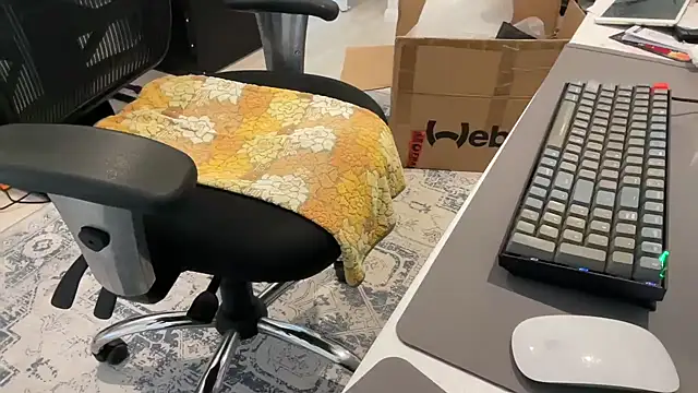 ProstatePleasures1 online show from 12-09-24, 01:40