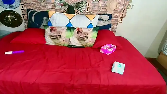 Indian Blaze00 online show from 09-23-25, 07:28