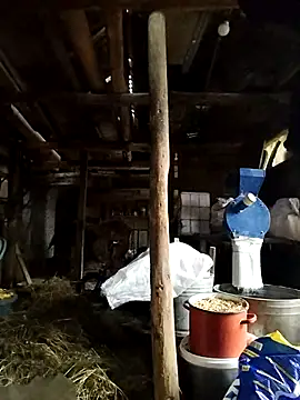 Sarpe84 online show from 01-24-25, 06:03