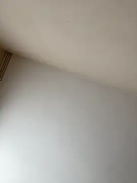 rpotktkkt online show from 11-20-25, 09:42