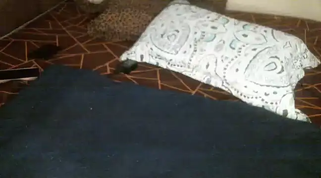 Sweetie pussy online show from 03-18-25, 01:09