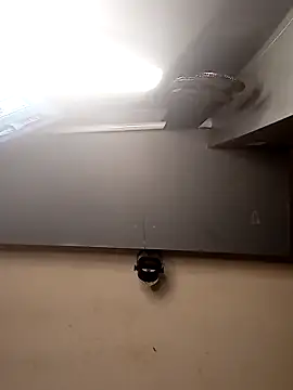 AmazonianMistress online show from 12-01-25, 02:44