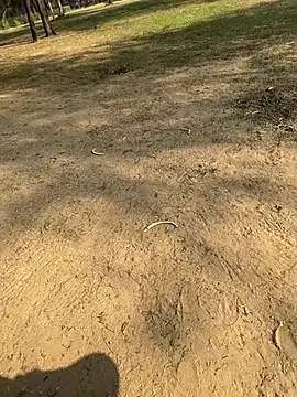 Cum on your tityyy online show from 01-13-26, 09:03