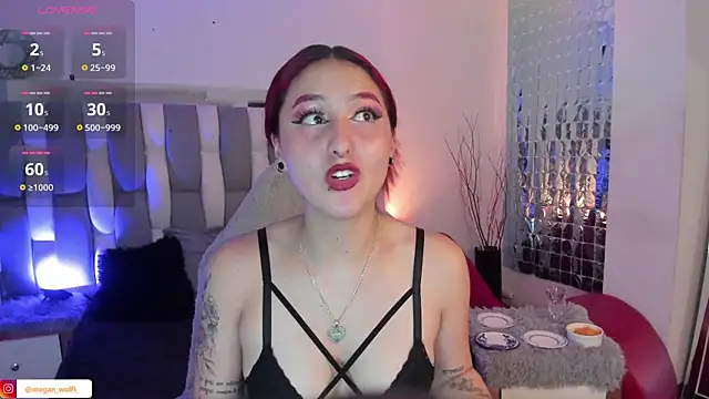 Megan wolf1  online show from 12-27-24, 10:01